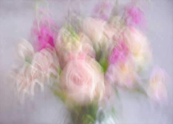 Abstract Flowers; Pauline Franks_