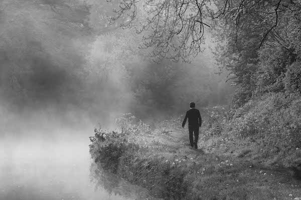 Alone into the mist;John Plant