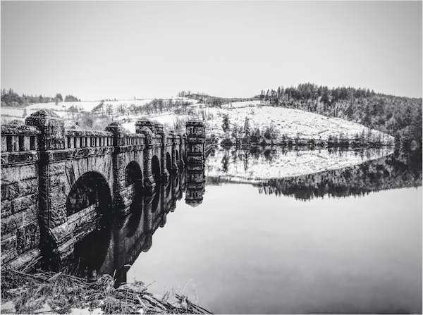 Dam Cold;Nick Wood