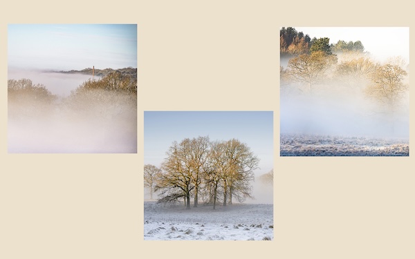 Misty;Pauline Franks