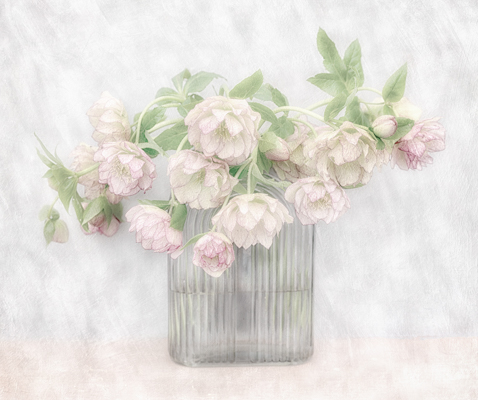Winter Flowers; Sue Taylor